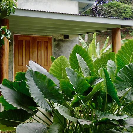 Casa Salvaje Vacation Rentals Бокас-дель-Торо Экстерьер фото