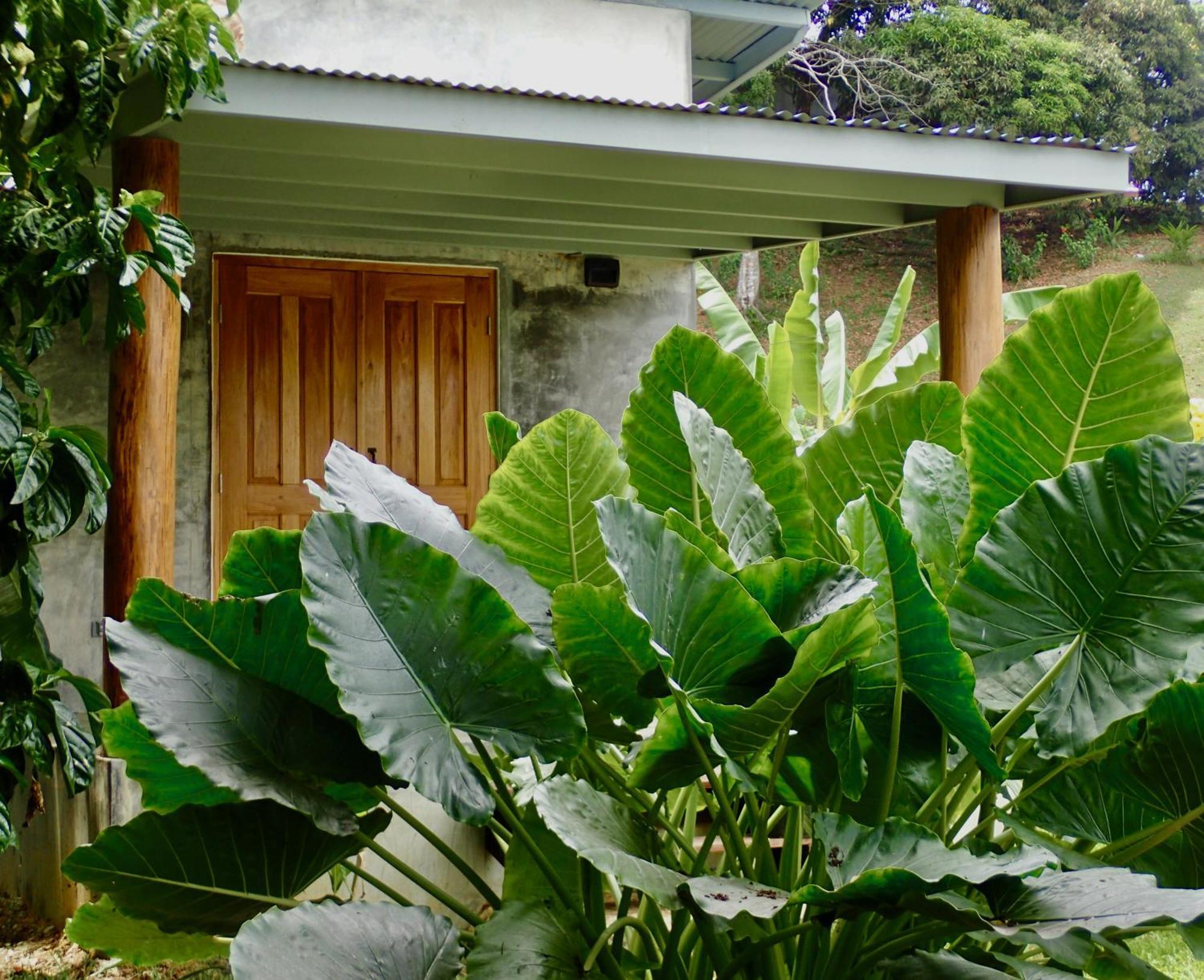 Casa Salvaje Vacation Rentals Бокас-дель-Торо Экстерьер фото